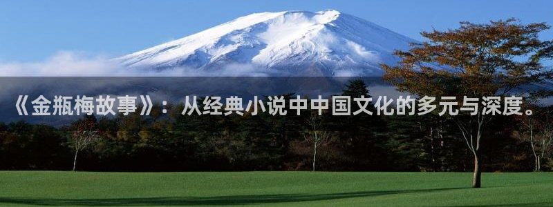 奇漫屋漫画下滑式：《金瓶梅故事》：从经典小说中中国文化的多元与深度。