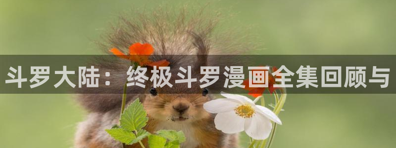 奇漫屋漫画免费阅读下拉：斗罗大陆：终极斗罗漫画全集回顾与